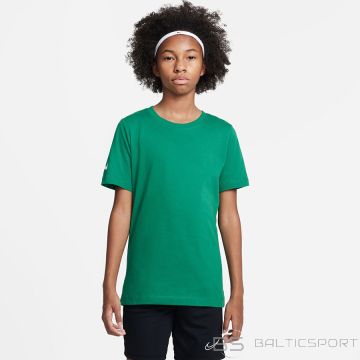 Nike Park 20 SS Tee Junior CZ0909-302 / green / XL (158-170)