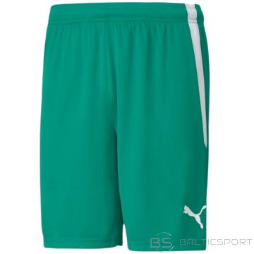 Puma teamLiga M 704924 05 shorts (L)