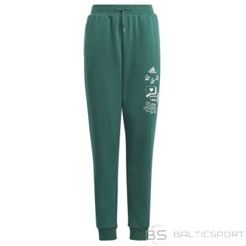 Adidas Pants Bluv Q3 Pant Jr. IA1553 (152 cm)