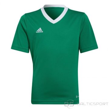 Adidas T-krekls Entrada 22 Jersey Jr HI2126 (116 cm)