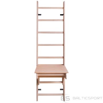 Benchk LADDER WITH A WOODEN PULL-UP WITH A DESK 111