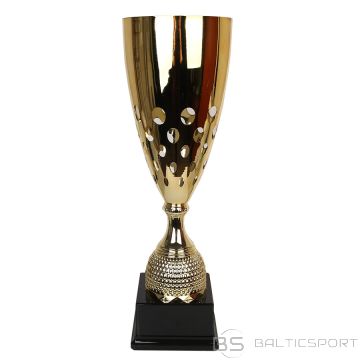 Puchar Tryumf 2093 / C - 45 cm / złoty