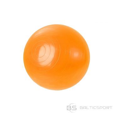 Gym Ball 45 cm 100504 (N/A)