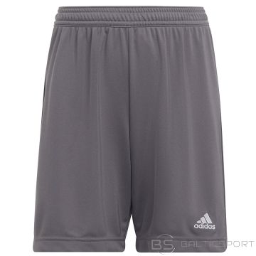 Dziesmas adidas entrada 22 īss y H57507 / Pelēka / 164 cm