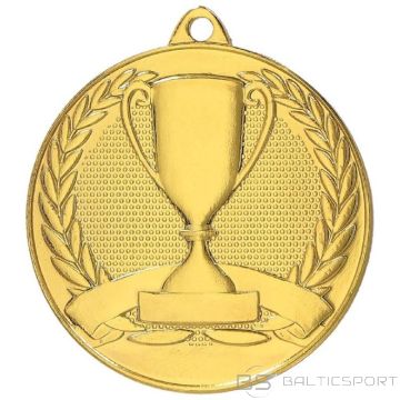 BS Kopvērtējumā zelta medaļa ar kausu (nav piemērojams)
