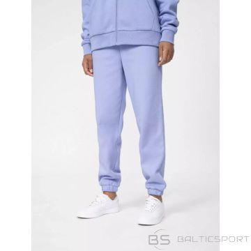 Trousers 4F W 4FSS23TTROF148-52S (XL)
