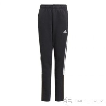Adidas Tiro21 Sweat Jr GM7332 bikses (164cm)