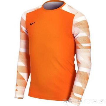 Goalkeeper jersey Nike Dry Park IV JSY LS JR CJ6072-819 (XS)