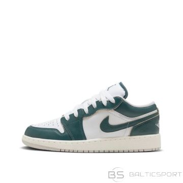 Nike AIR JORDAN 1 LOW SE BG FQ8041-300 (FQ8041-300) (40.0)