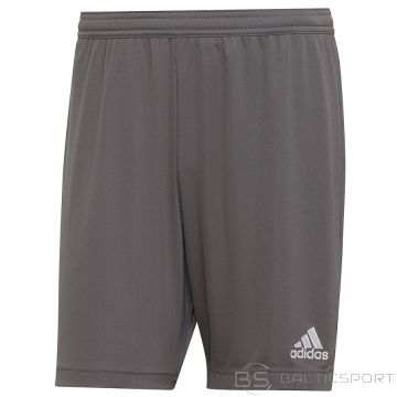 Adidas ENTRADA 22 Короткий H57505 / серый / XXXL