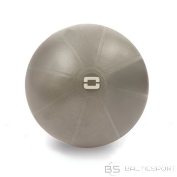 Toorx Liveness Gym ball AYP-002 D65cm with pump