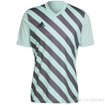 T-krekls Adidas Entrada 22 GFX JSY HF0119 / Zila / XL