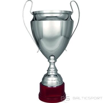 BS 2020. gada CUP (nav pieejams)