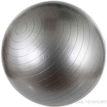 Schreuderssport Gym Ball AVENTO 42OB 65cm Silver