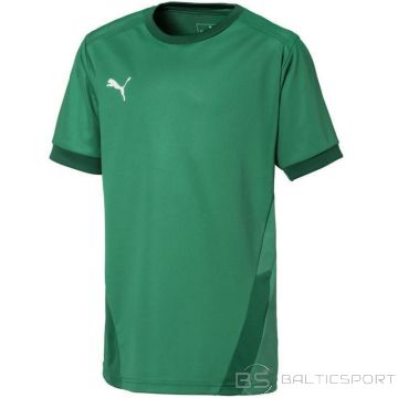 Puma teamGOAL 23 Jersey Jr T-shirt 704160 05 (116cm)