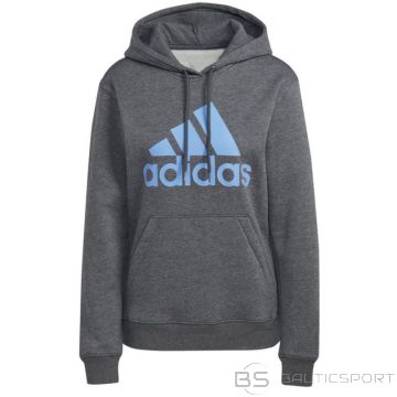 Sweatshirt adidas Big Logo FL R HD W IC9845 (S)
