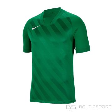 Nike Футболка Challenge III M BV6703-302 (S)