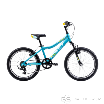 Bērnu velosipēds ROMET Rambler 20 KID 2, tirkīza zils