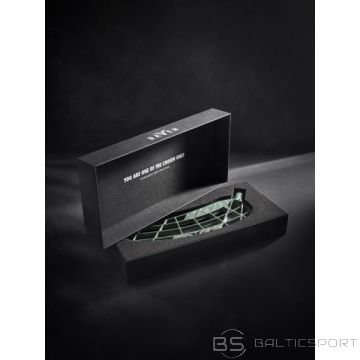 Salming  Raven  blade Touch  Plus Ltd Ed florbola spēlētāja lāpstiņa (1110316-0606)
