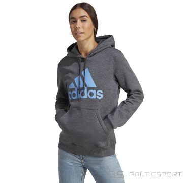 Adidas Big Logo Sweatshirt FL R HD IC9845 / gray / XS