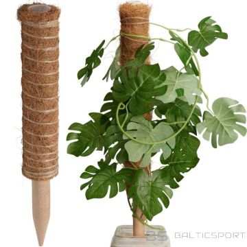 Progarden Kokosriekstu auga atbalsts 50 cm (nav pieejams)