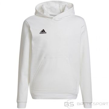 Adidas Džemperis Entrada 22 Hoody Jr HG6303 (164 cm)