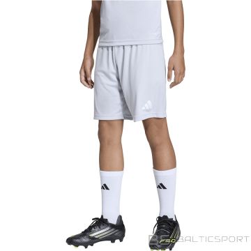 Adidas ENTRADA 26 Short Junior JZ6533 / серый / 116 см
