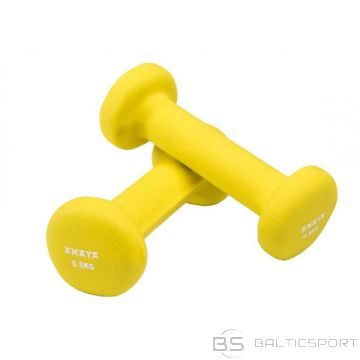 BS Hanteles 0,5kg