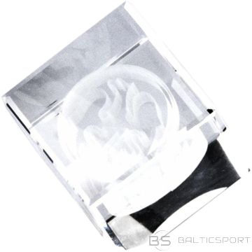 BS Stikla trofeja ar 3D gravējumu (nav pieejama)