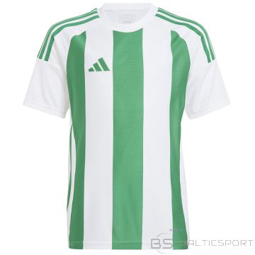Adidas T-krekls STRIPED 24 JSY Jr IW2138 / balts / 164 cm