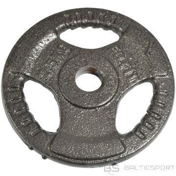 Enero Fit ĀTURU LOAD 2,5 KG diametrs 26,5