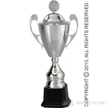 BS Sudraba metāla krūze ar vāku (N/A)