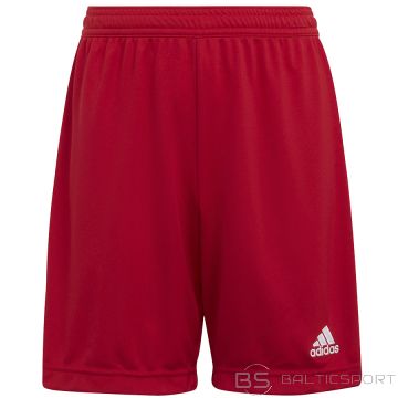 Spodenki adidas ENTRADA 22 Short Y H57501 / czerwony / 128 cm