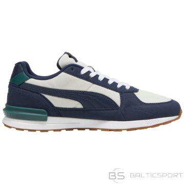 Puma Graviton M 380738 62 shoes (40)