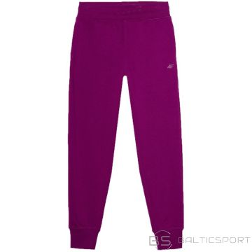 Bikses F606 W 4FWSS24TTROF606 51S (S)