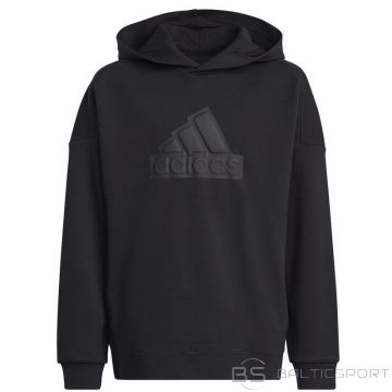 Adidas Толстовка FI Logo HD Jr. HR6301 (140 см)