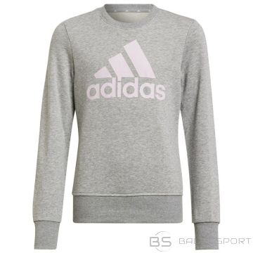 Sweatshirt adidas Big Logo Swt Jr HM8706 (152 cm)