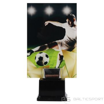 Tryumf Triumfa plastmasas trofeja / 17 cm /