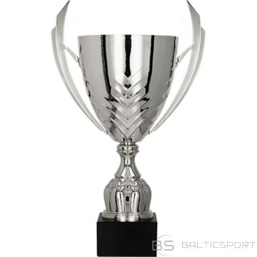 BS Sudraba metāla krūze (nav pieejama)