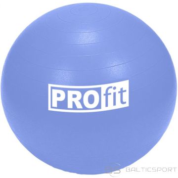 Мяч для аэробики и фитнеса /Profit Мяч гимнастический 65 см DK 2102 (N / A)