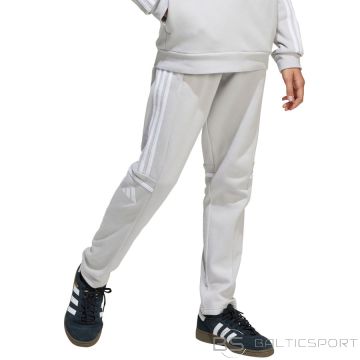 Adidas SQUADRA 25 sporta bikses junioriem JD4823 / pelēkas / 152 cm