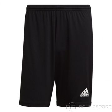 Adidas Squadra 21 Short M GN5776 (2XL)