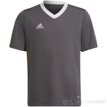 Adidas Футболка Entrada 22 Jsy Jr H57499 (164 см)