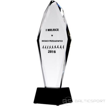 BS Gravēta stikla trofeja + krāsas pildījums (nav pieejams)