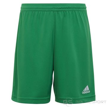 Spodenki adidas ENTRADA 22 Short Y IC7410 / zielony / 128 cm