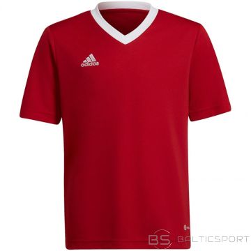 Adidas T-krekls Entrada 22 Jsy Jr H57496 (176cm)