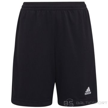 Adidas Entrada 22 Training Short Y Jr H57498 (176 cm)