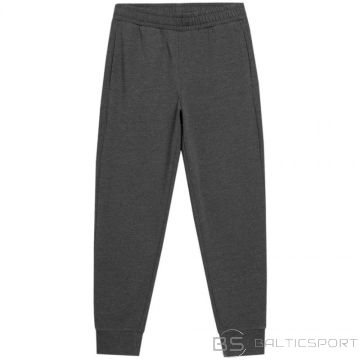Outhorn M HOL22 SPMD600 23M pants (S)