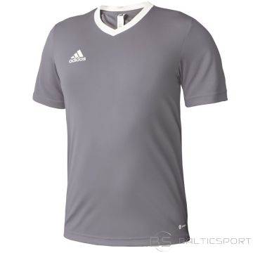 Adidas T-krekls Entrada 22 Jsy Jr H57499 (176cm)