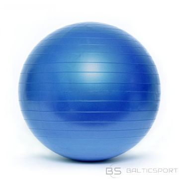 Inny Гимнастический мяч BL003 55 см HS-TNK-000011192 (Н/Д)